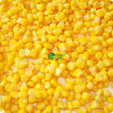 Venta caliente IQF Frozen Freshsuper Sweet Corn Kernel